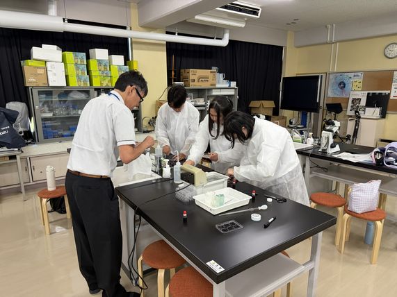 探究のスキルを磨く！